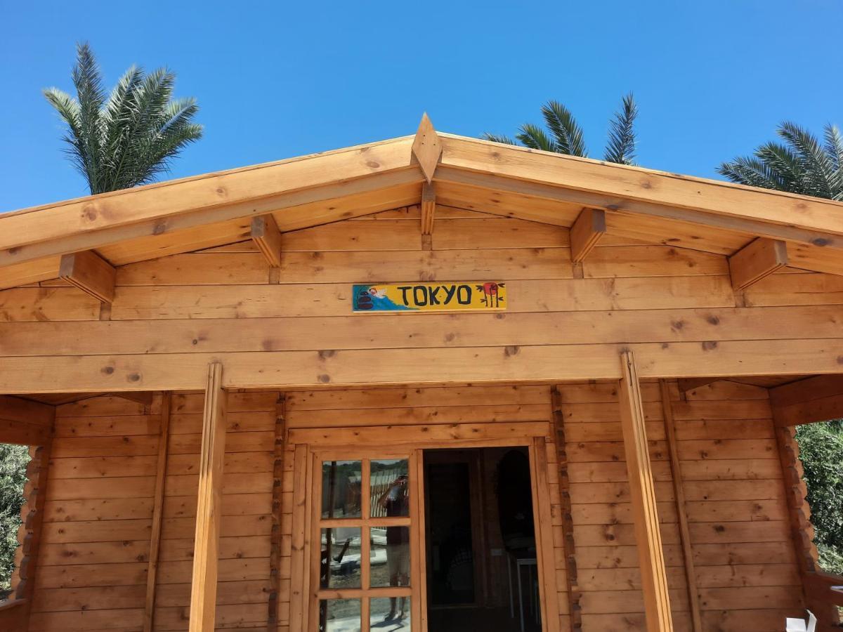 Cyprus Glamping Park Agios Theodoros Exterior foto