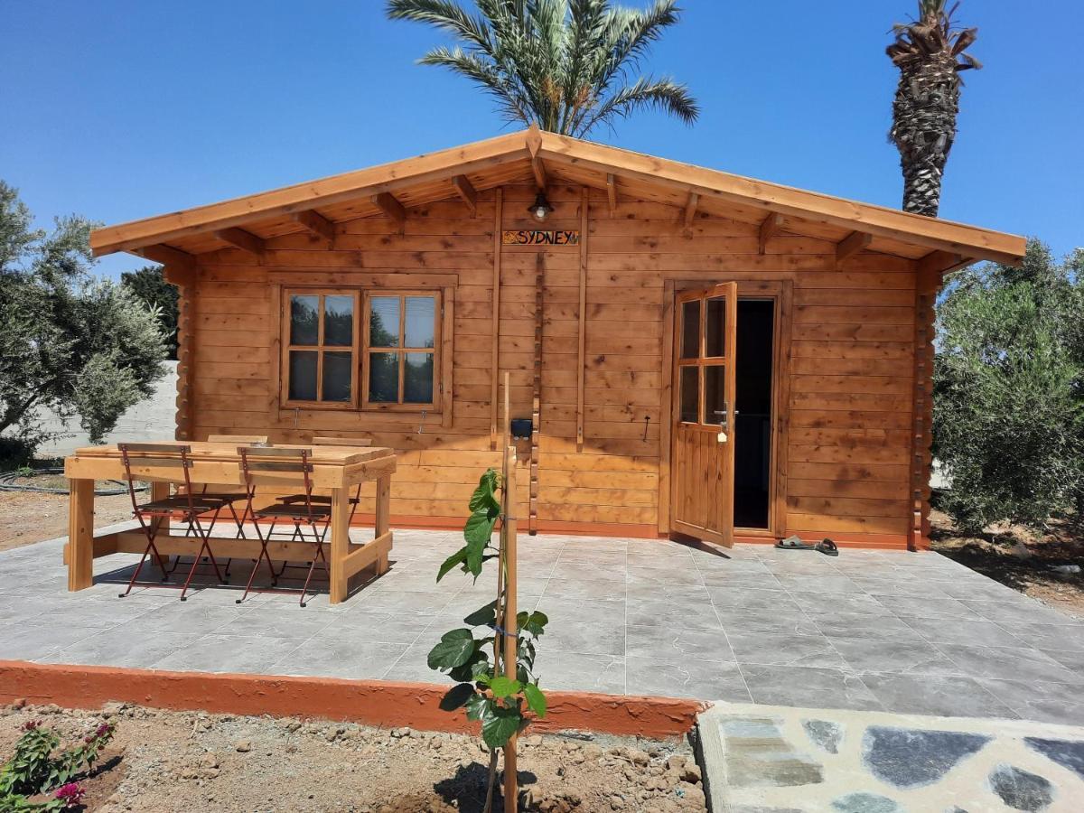 Cyprus Glamping Park Agios Theodoros Exterior foto